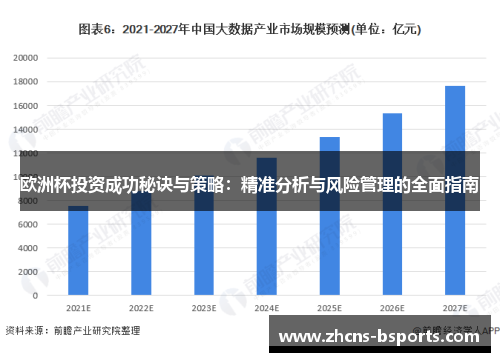 欧洲杯投资成功秘诀与策略：精准分析与风险管理的全面指南