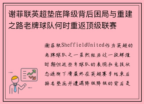 谢菲联英超垫底降级背后困局与重建之路老牌球队何时重返顶级联赛